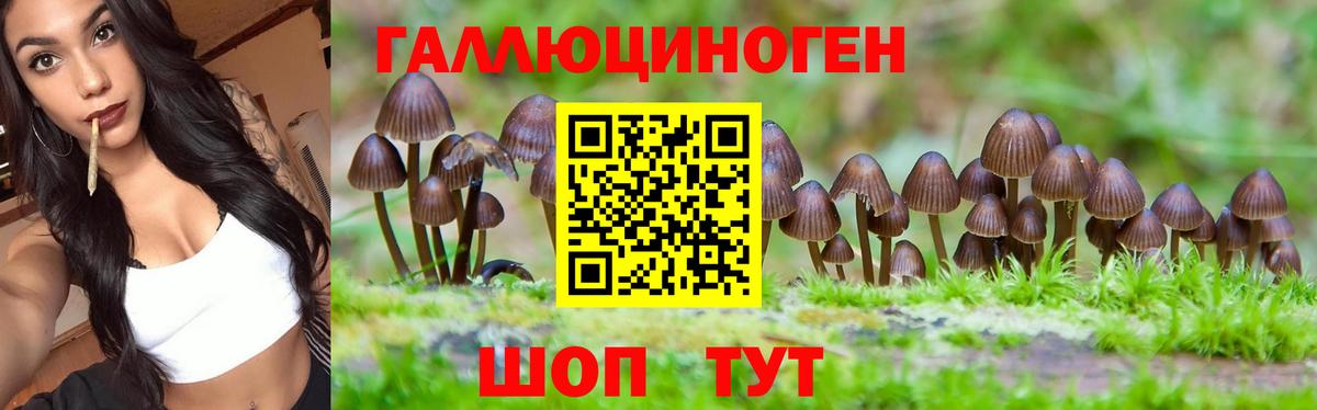 Магнитогорск  Псилоцибиновые грибы MAGIC MUSHROOMS  Вход с VPN 
